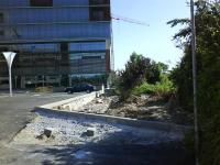 Imagine atasata: piata 700 05.JPG